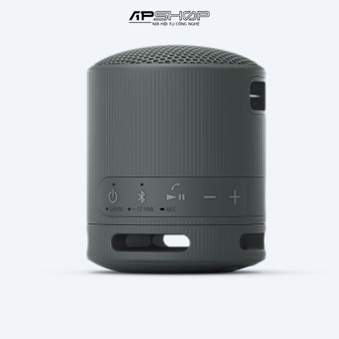 Loa Bluetooth Sony SRS-XB100