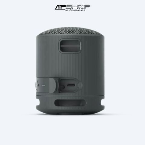 Loa Bluetooth Sony SRS-XB100