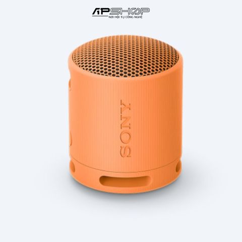 Loa Bluetooth Sony SRS-XB100