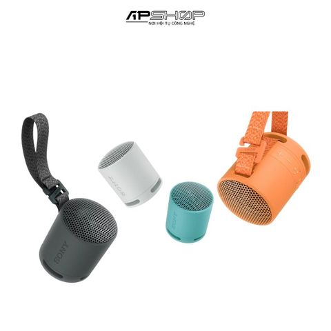 Loa Bluetooth Sony SRS-XB100