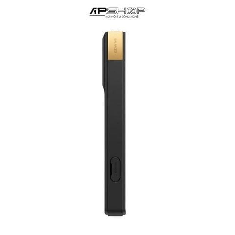 Máy nghe nhạc MP4 Sony NW-WM1A