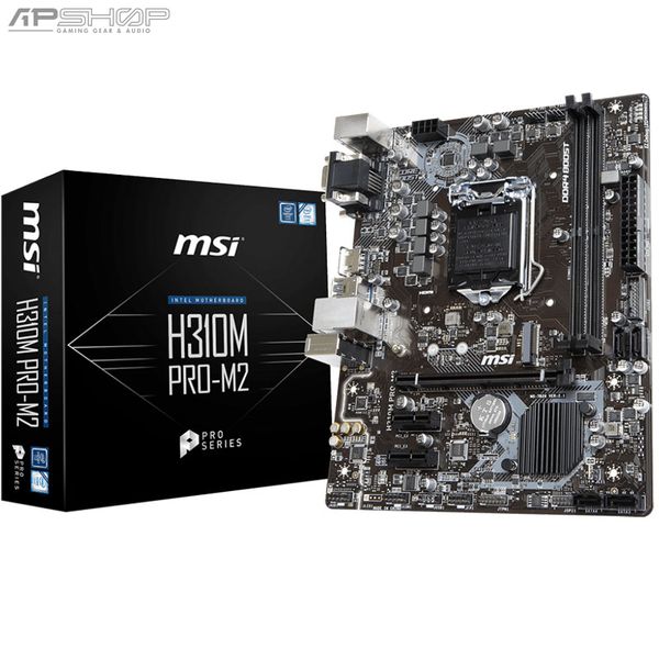 MSI H310M Pro M2