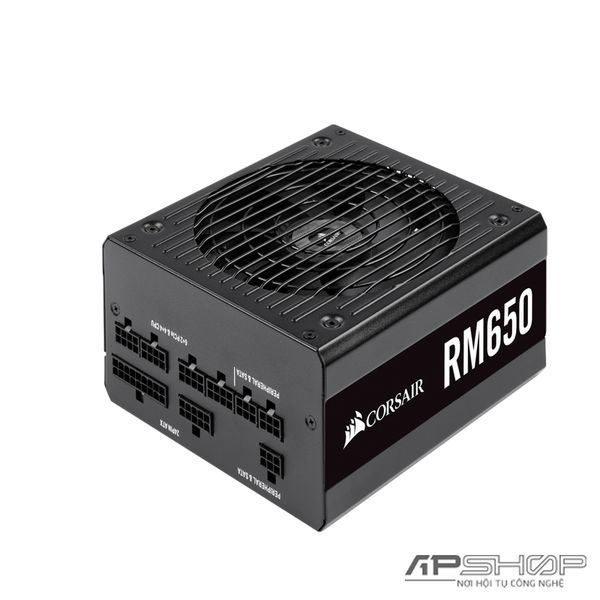 Nguồn Corsair RM650 2019 - Full Modul - 80 Plus Gold