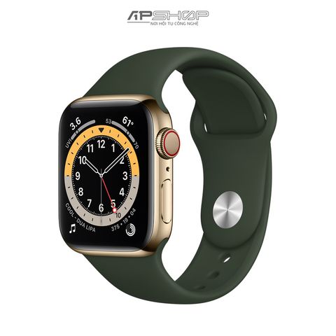 Apple Watch Series 6 GPS + Cellular 40mm Stainless Steel Case-GoldGreen