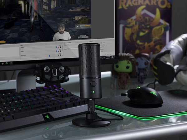 Micro Razer Seiren X