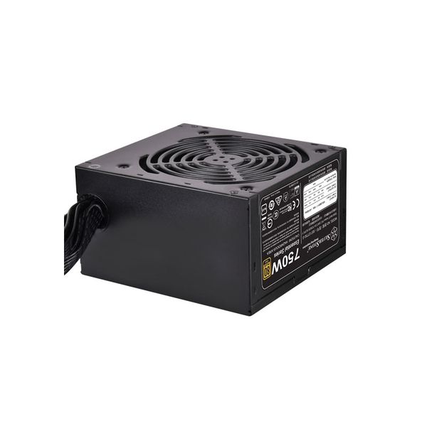 Nguồn Silverstone 750W 80 Plus Gold - ASUS TUF Gaming