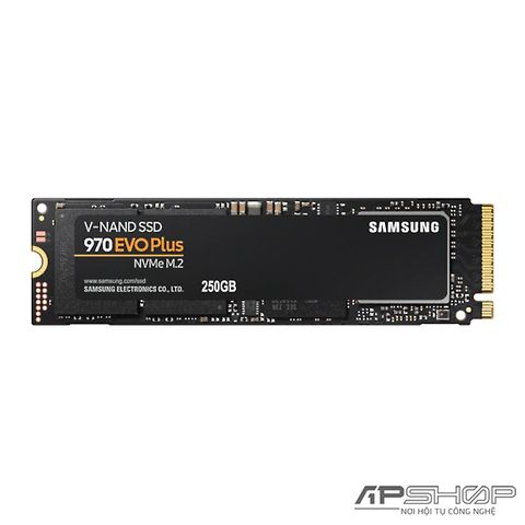 SSD Samsung 970 EVO Plus - 250GB