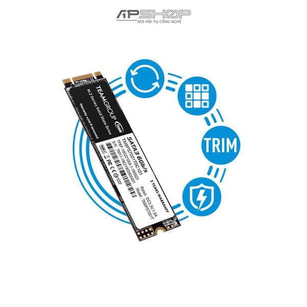 SSD TeamGroup MS30 128GB M2 Sata III