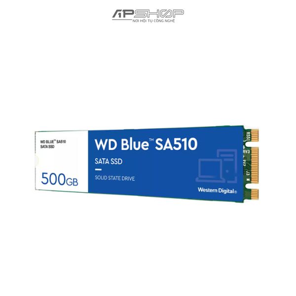 SSD Western Digital WD Blue SA510 M.2 Sata 500GB | Chính hãng