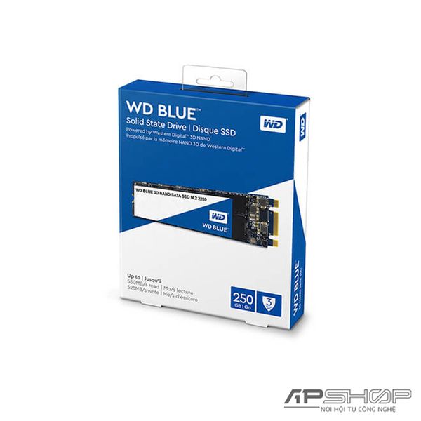 SSD Western Digital WD Blue 3D NAND M.2 Sata 250GB