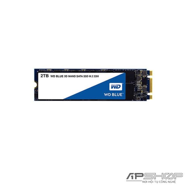 SSD Western Digital WD Blue 3D NAND M.2 Sata 2TB