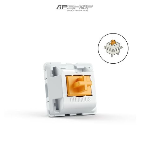 Switch Glorious Panda Tactile 36 nút | Chính hãng