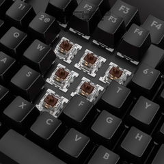 Gateron Brown