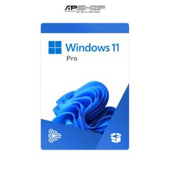 Windows Pro 11 64Bit Eng Intl 1pk DSP OEI DVD