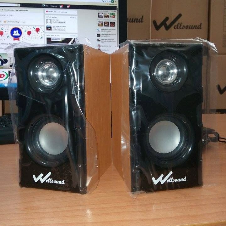 Loa Wellsound W66