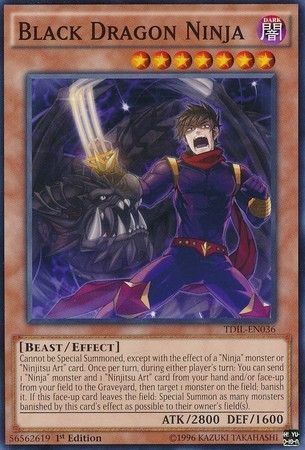 [ UK ] Black Dragon Ninja - TDIL-EN036 - Common 1st Edition