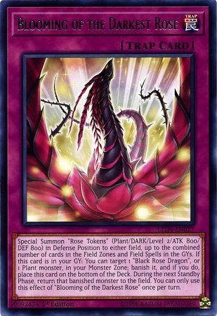 [ UK ] Blooming of the Darkest Rose - LED4-EN027 - Rare 1st Edition