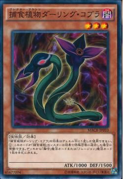 [ JP ]  Predaplant Darlingtonia Cobra - MACR-JP010 - Common