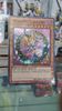 Deck xếp sẵn: Dark Magician Girl