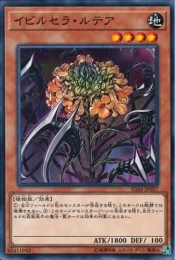 [ JP ] Evilcella Lutea- IGAS-JP027 - Common