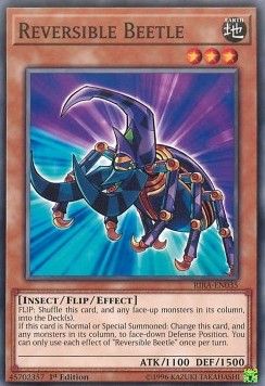 [ UK ] Gokipole - MP19-EN176 - Common 1st Edition