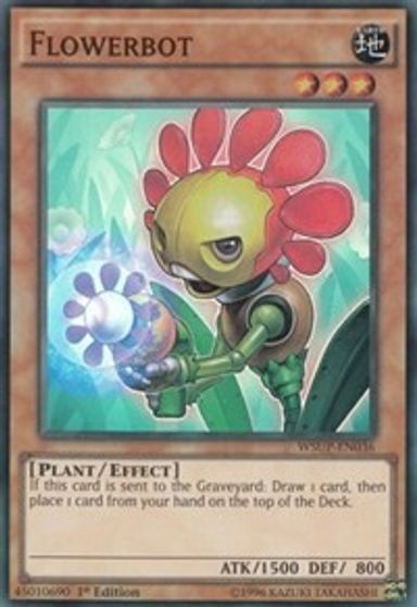 [ US ] Flowerbot - WSUP-EN036 - Super Rare 1st Edition