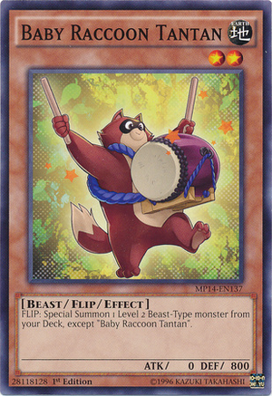 [ US ] Baby Raccoon Tantan - MP14-EN137 - Common