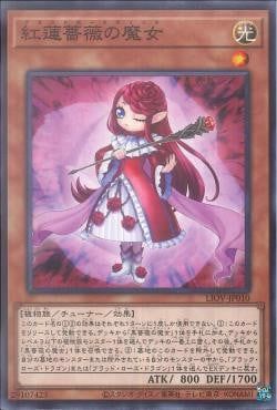 [ JK ] Đồng giá 2K Ruddy Rose Witch - LIOV-JP010 - Common