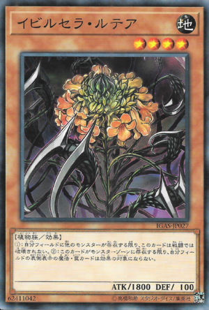 [ JK ] Evilcella Lutea- IGAS-JP027 - Common