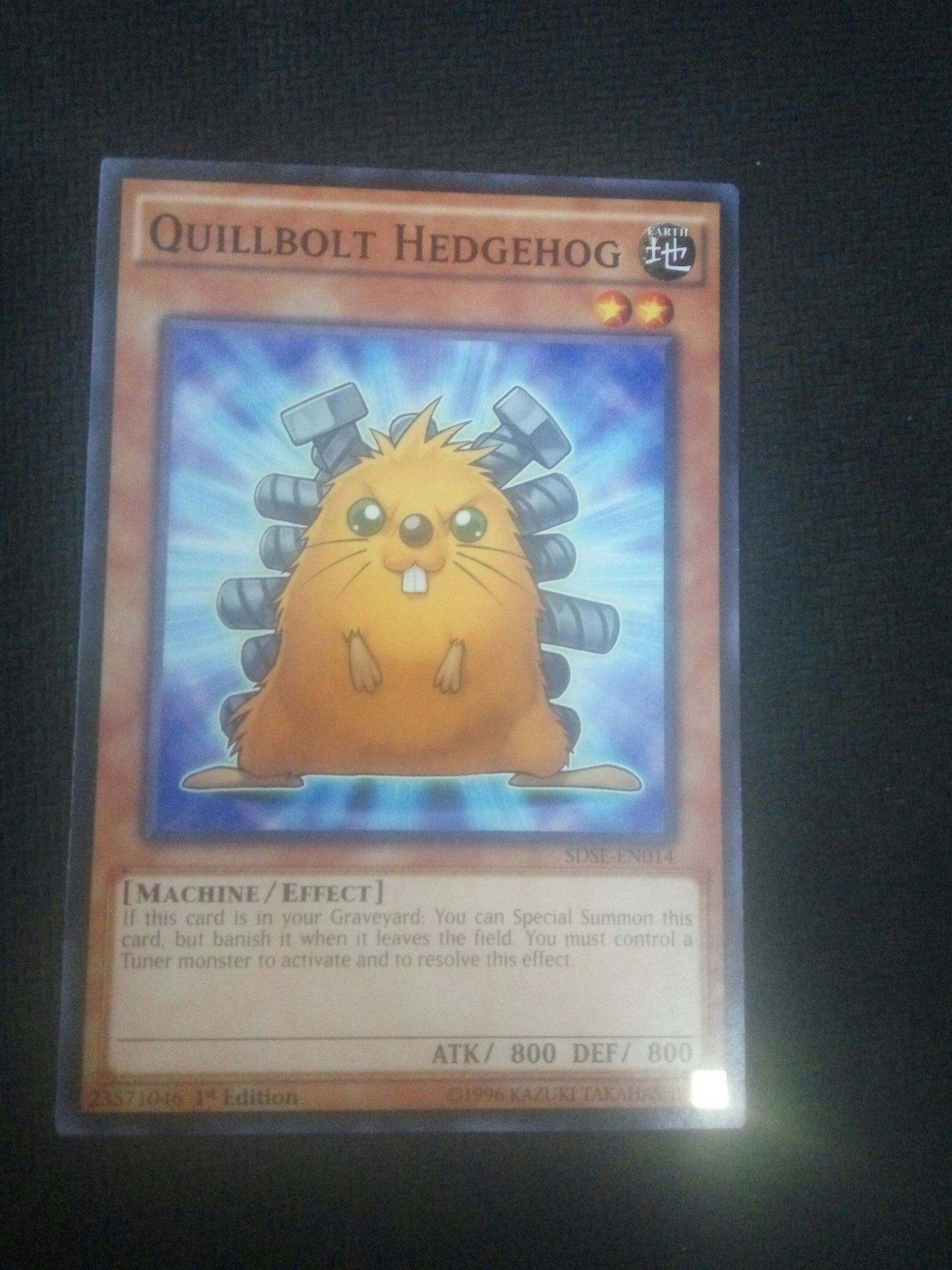Quillbolt Hedgehog- SDSE-EN014 - Common