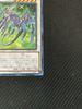 [ JK ] Dragunity Knight - Luin - CYHO-JP032 - Rare - Near Mint