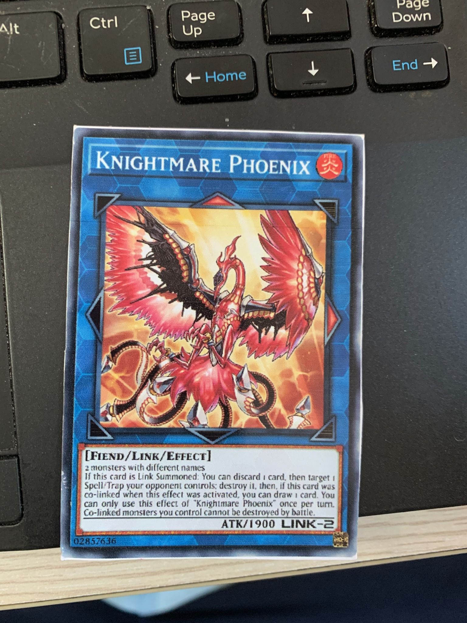 [ Bài in ] Knightmare Phoenix