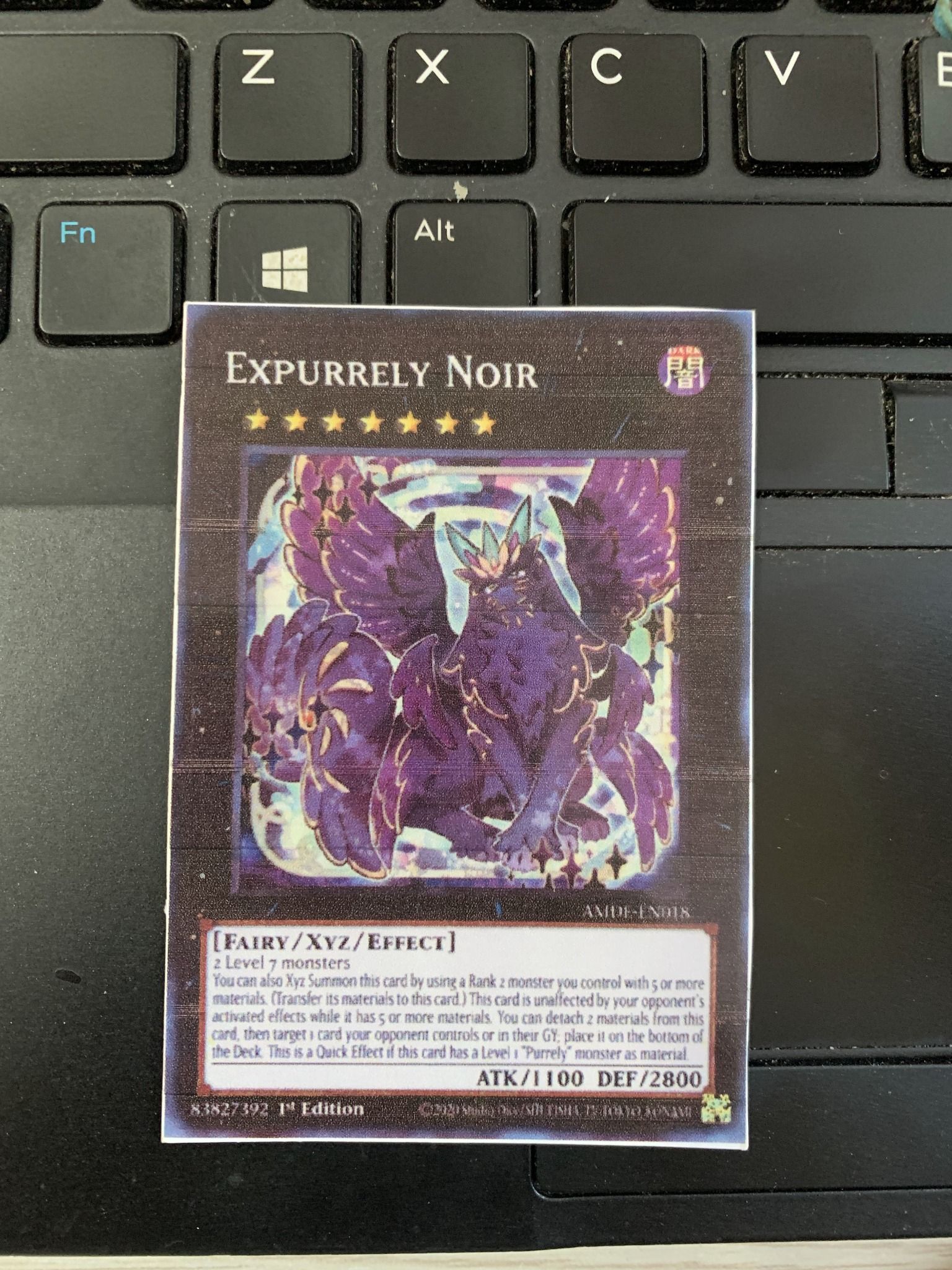 [ bài in  ] Expurrely Noir