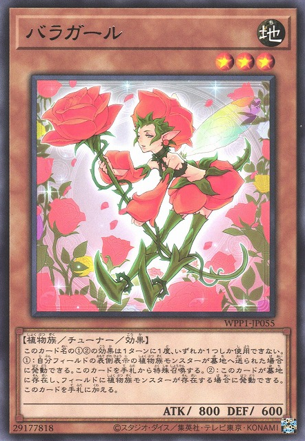 [ JK ] Rose Girl - WPP1-JP055 - Rare