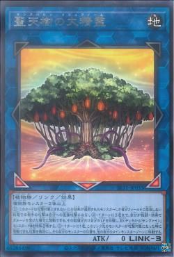 [ JK ] Sunavalon Dryanome - SLT1-JP033 - Rare