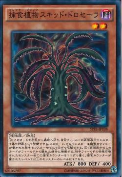 [ JP ] Predaplant Squid Drosera - SPFE-JP008 - Common