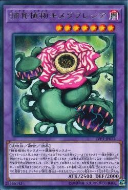 [ JK ] Predaplant Chimerafflesia - LVP3-JP072 - Rare