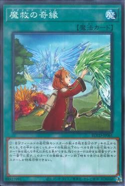 [ JP ] Đồng giá 2K Adamancipator Friends - ROTD-JP061 - Common