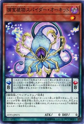 [ JK ] Predaplant Spider Orchid - LVP3-JP075 - Common