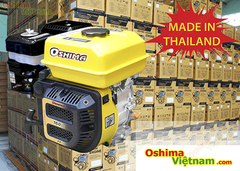 Máy nổ OSHIMA GOLD OSG60 6.5HP