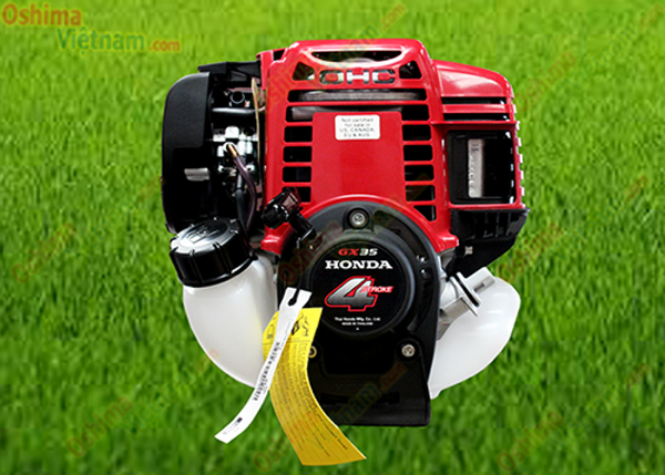 may-cat-co-oshima-tw-35