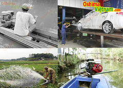 Máy nổ OSHIMA NEW 5.5HP