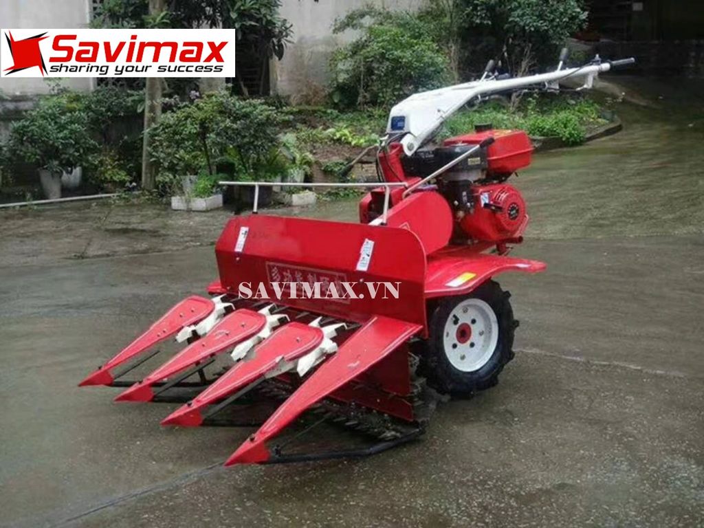 Máy gặt lúa xếp dãy chạy xăng đa chức năng