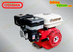 Máy nổ OSHIMA NEW 6.5HP