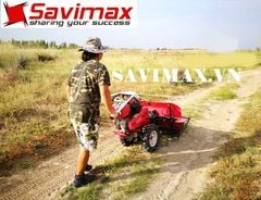 Máy gặt lúa xếp dãy chạy xăng đa chức năng