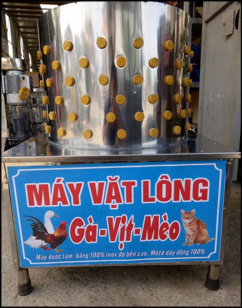 Máy vặt lông gà, vịt cao cấp Oksau OS50