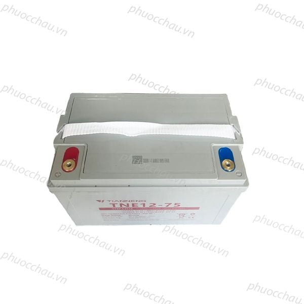 Ắc quy Thiên Năng Tianneng TNE12-75 12V 75Ah nhìn từ trên xuống cận cảnh 2 cọc bình nắp đỏ xanh