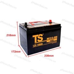 Ắc Quy Tia Sáng MF31A-800 12V-100Ah