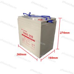 Ắc Quy Thiên Năng Tianneng TNE6-250 (6V - 250Ah),  ắc quy dùng cho xe điện, xe golf, xe chà sàn
