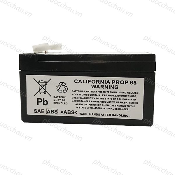 Ắc quy phụ xe Mercedes 000000004039 12V1.2AH